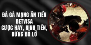 Đá Gà Mạng Ăn Tiền Betvisa – Cược Hay, Rinh Tiền, Đừng Bỏ Lỡ
